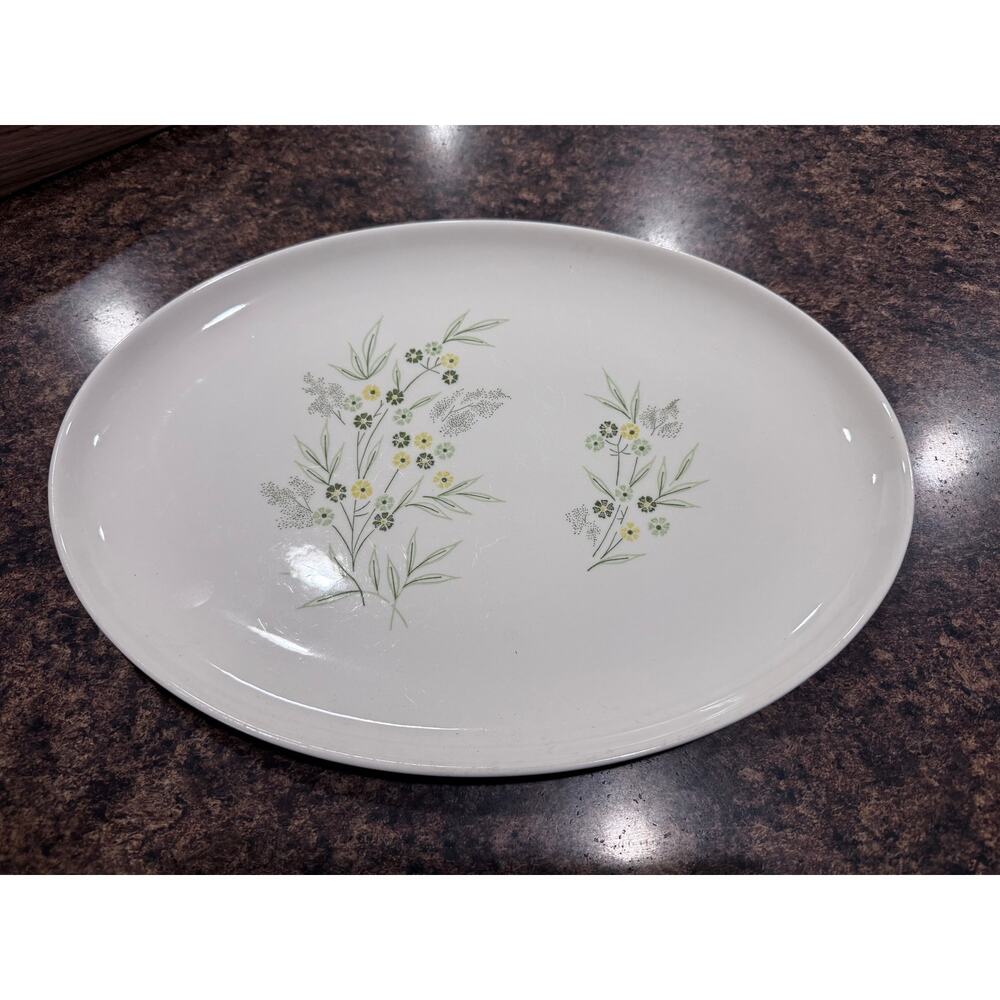Vintage Taylor Smith & Taylor Colorcraft Platter - Garden Valley